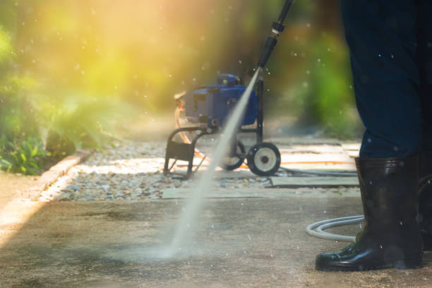 Best Solar Panel Cleaning  in Nocona, TX